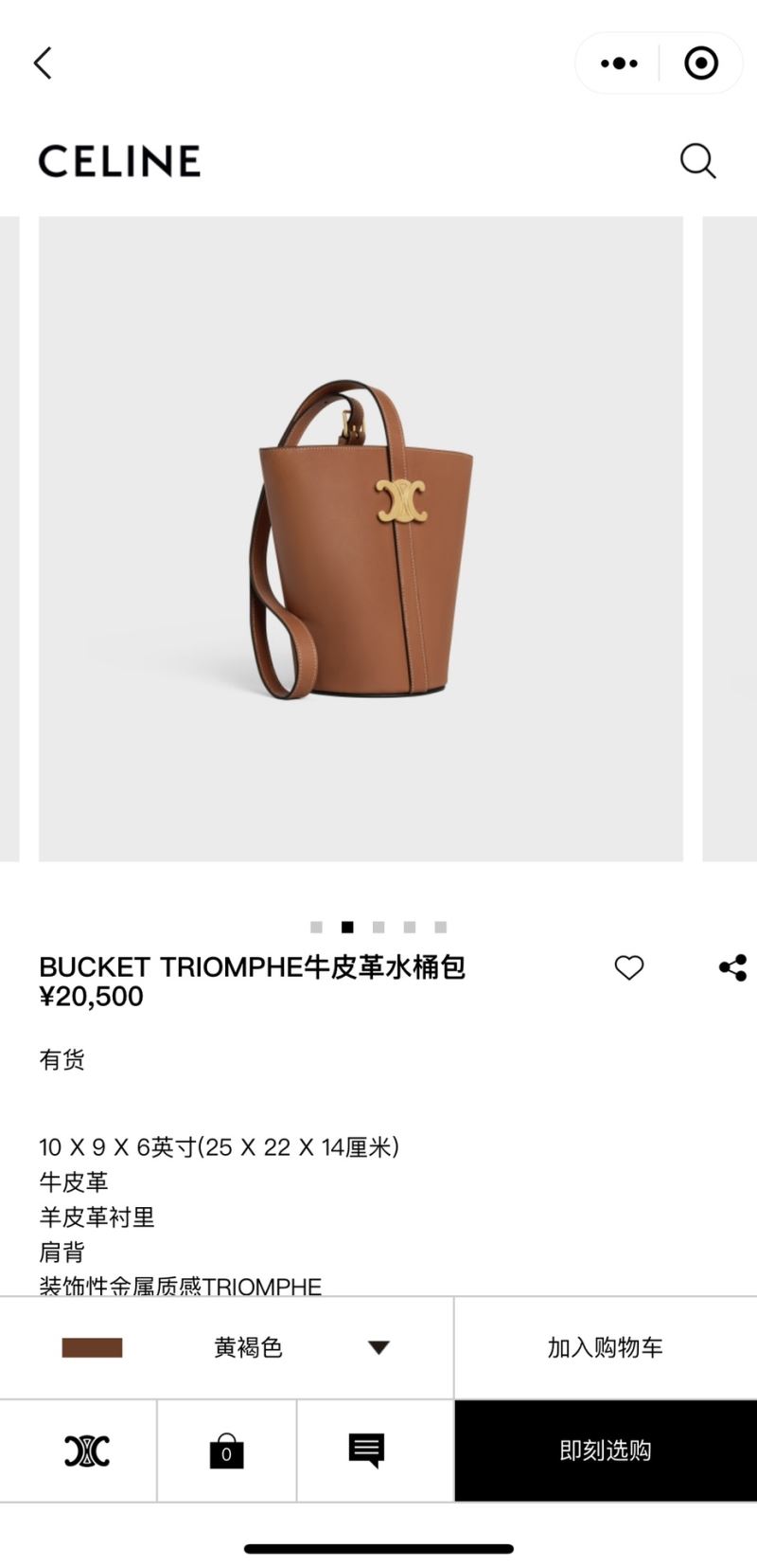 Celine Bucket Bags